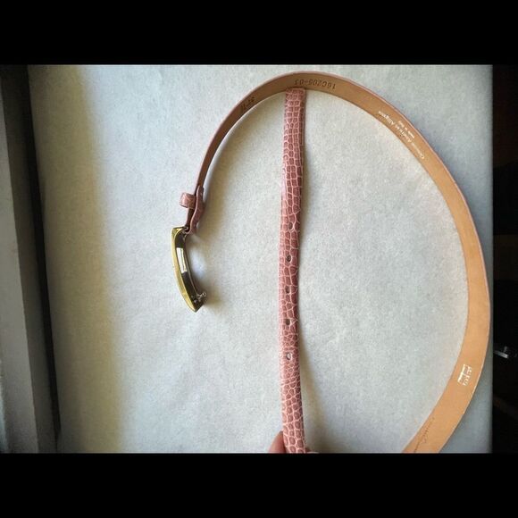 Tardini Genuine American Alligator woman’s belt size 32 main image 4